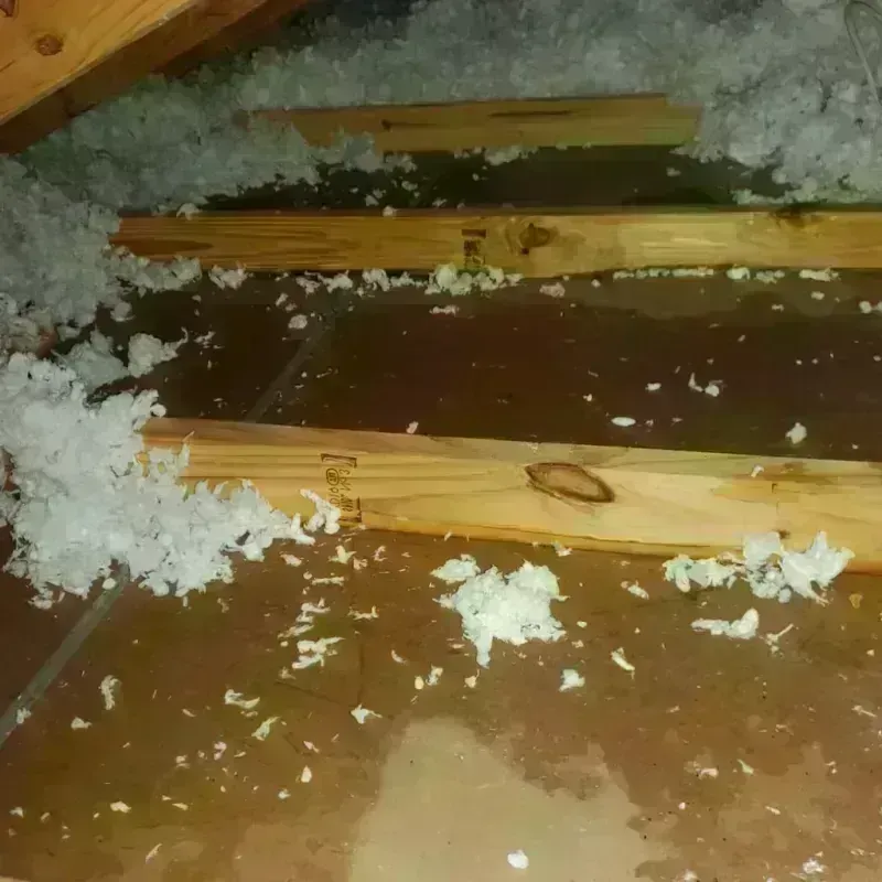 Attic Water Damage in Midway North, TX