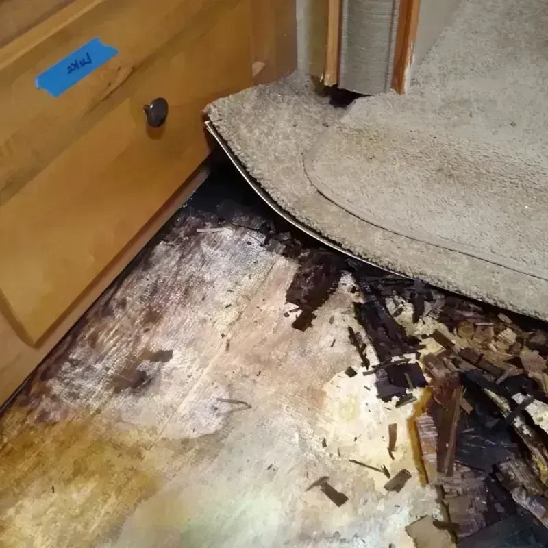 Best Wood Floor Water Damage Service in Midway North, TX